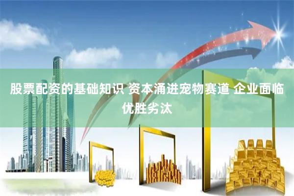 股票配资的基础知识 资本涌进宠物赛道 企业面临优胜劣汰