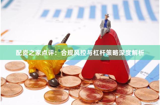 配资之家点评：合规风控与杠杆策略深度解析