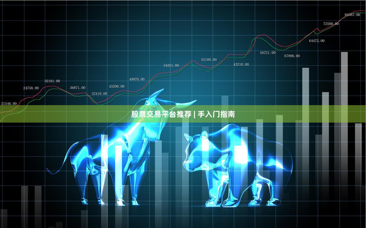 股票交易平台推荐 | 手入门指南